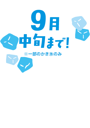 9月中旬まで!